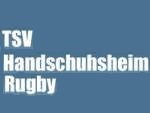 TSV de Heildelberg (Alemania)